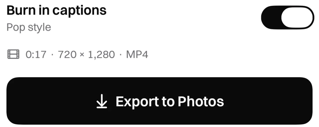 The export panel with Burn in captions switched on and an Export button.